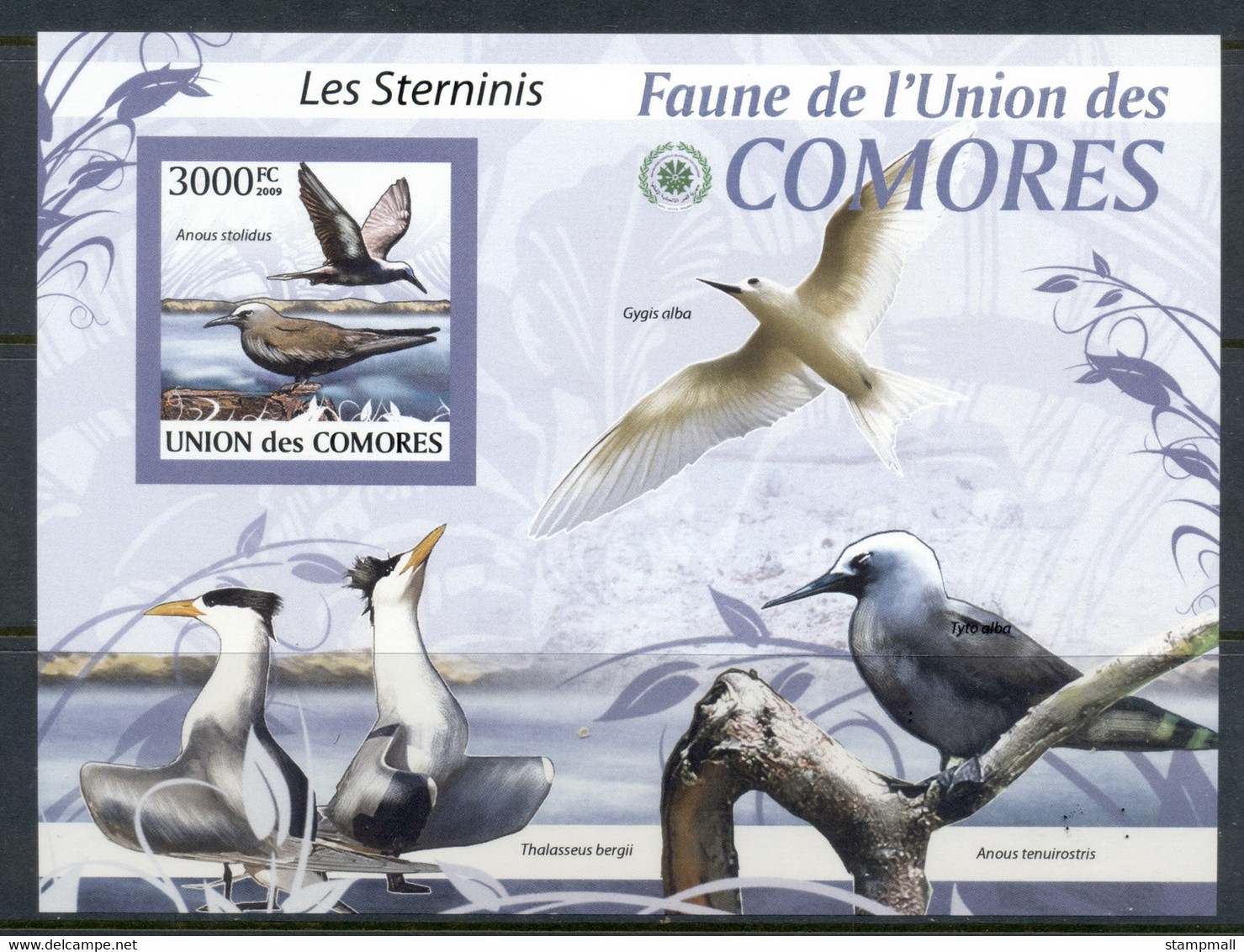 Comoro Is 2009 Birds, Terns MS IMPERF MUH - Comores (1975-...)