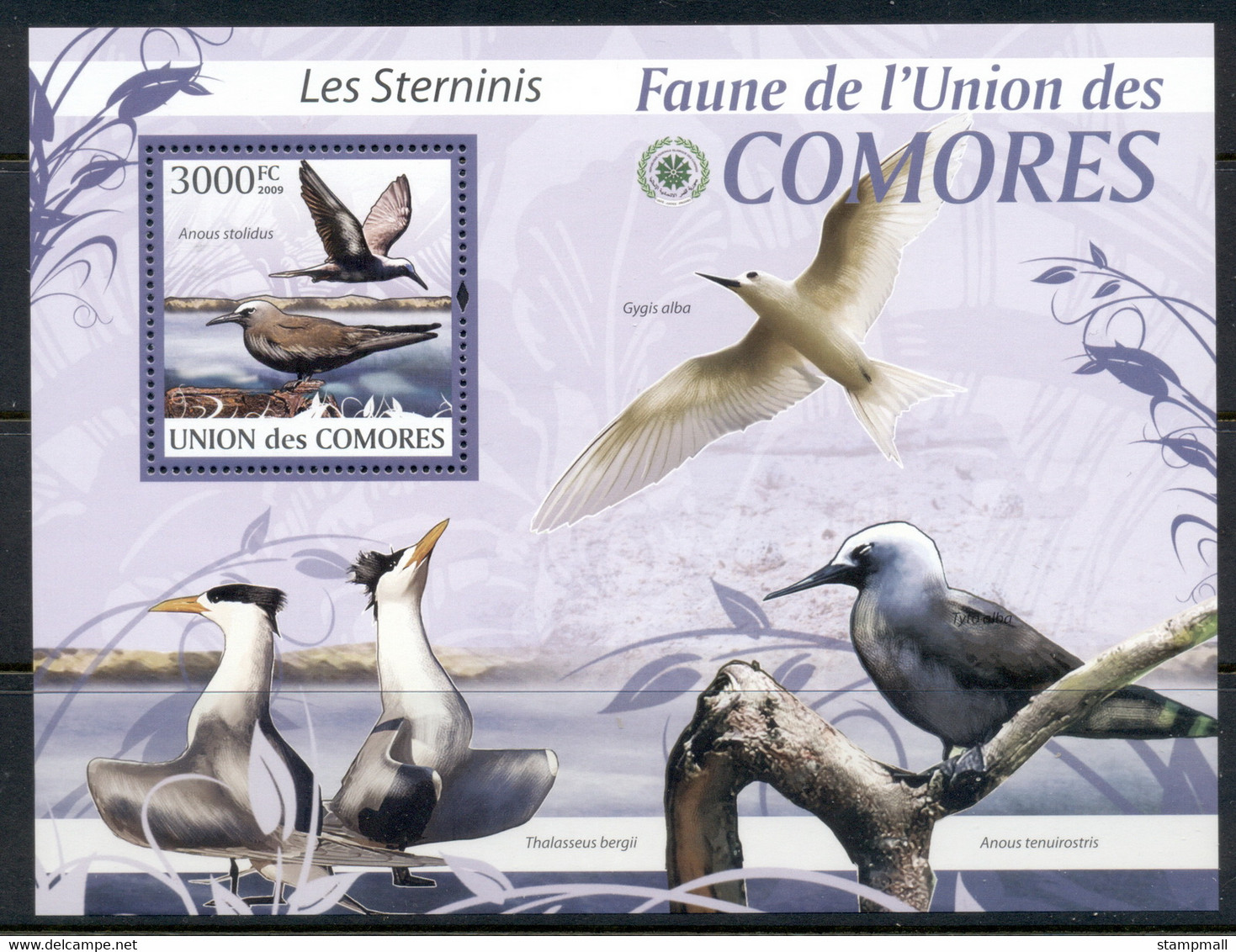 Comoro Is 2009 Birds, Terns MS MUH - Comores (1975-...)