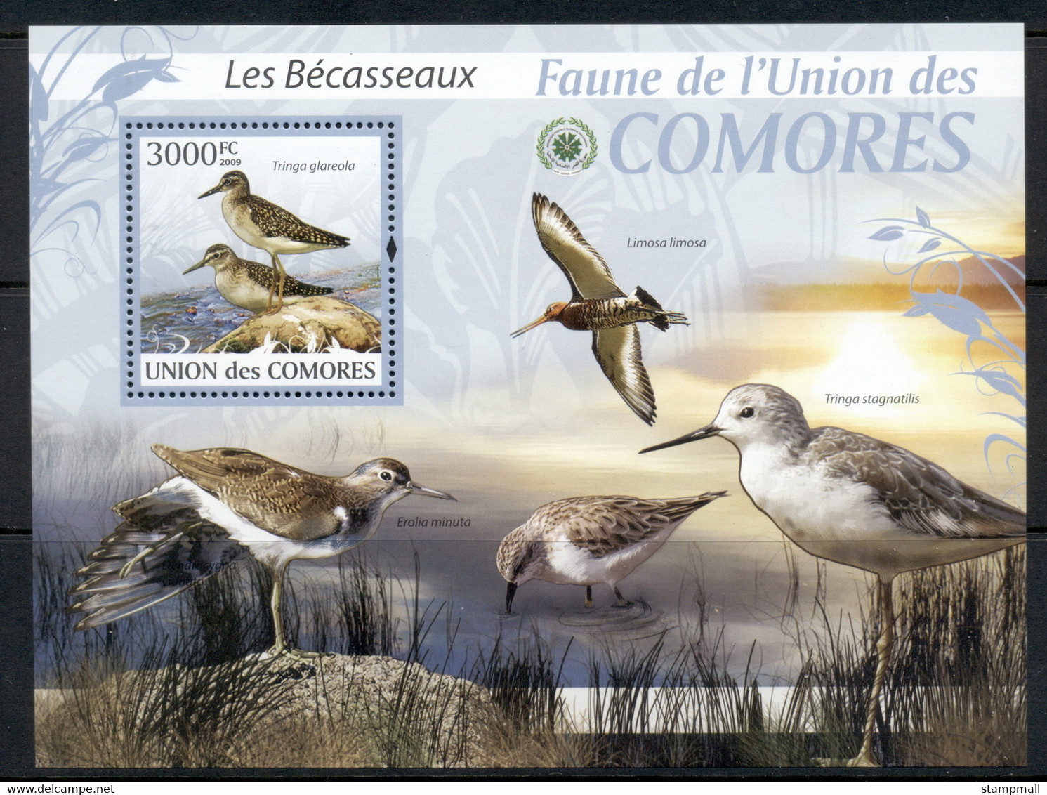 Comoro Is 2009 Birds, Wading Birds MS MUH - Comores (1975-...)