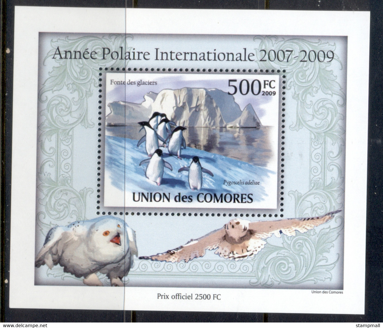 Comoro Is 2010 Animals Of The Antarctic, Bird, Penguin Deluxe MS MUH - Comores (1975-...)