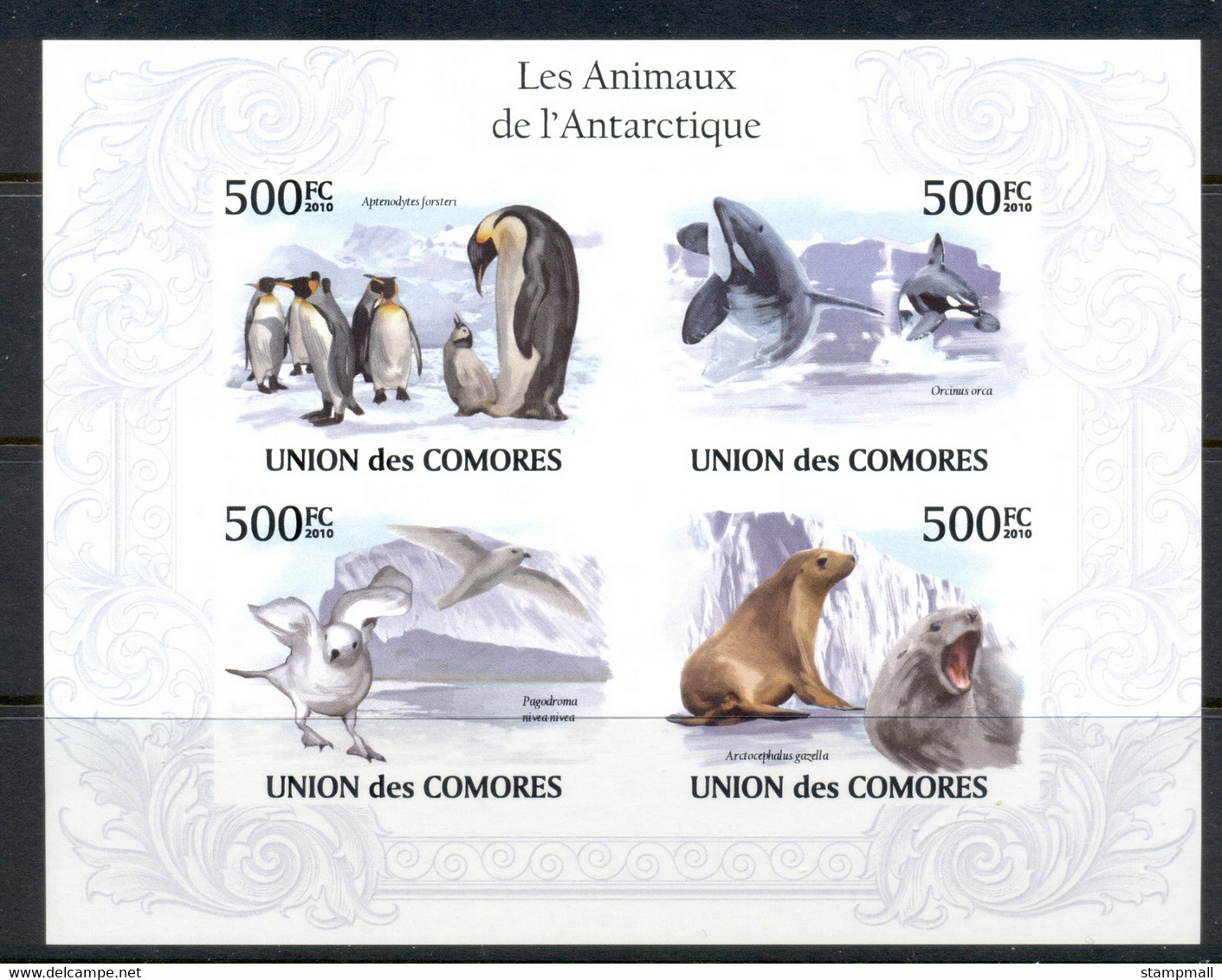 Comoro Is 2010 Animals Of The Antarctic, Bird, Seal MS IMPERF MUH - Comores (1975-...)