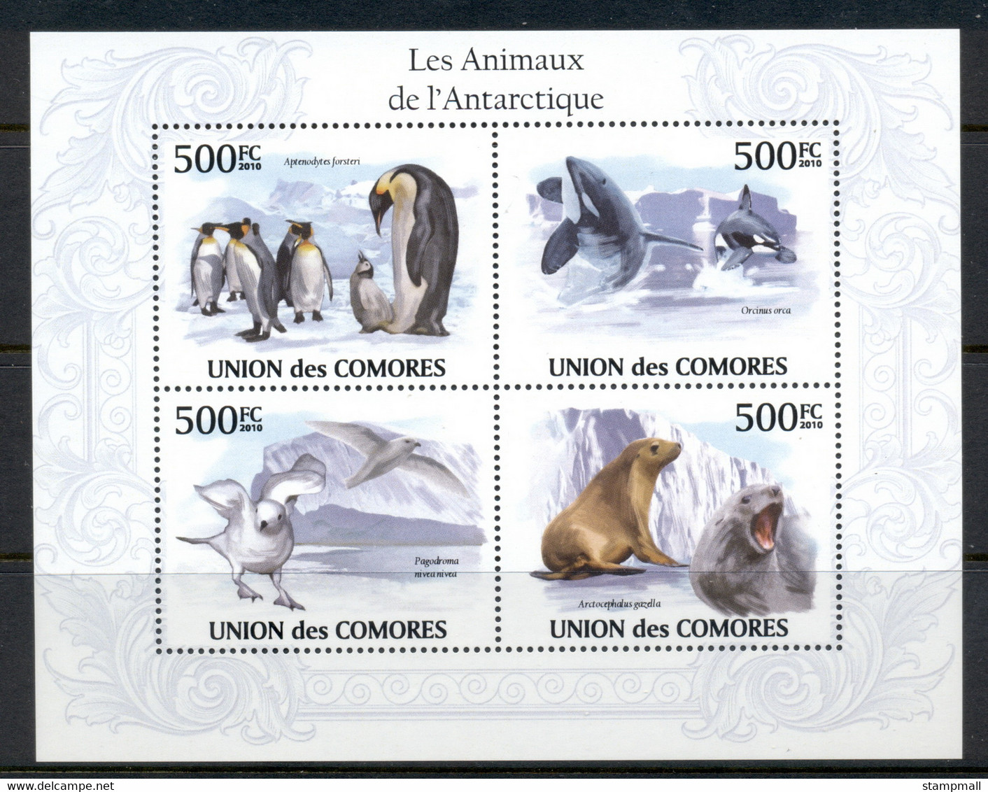 Comoro Is 2010 Animals Of The Antarctic, Bird, Seal MS MUH - Comores (1975-...)
