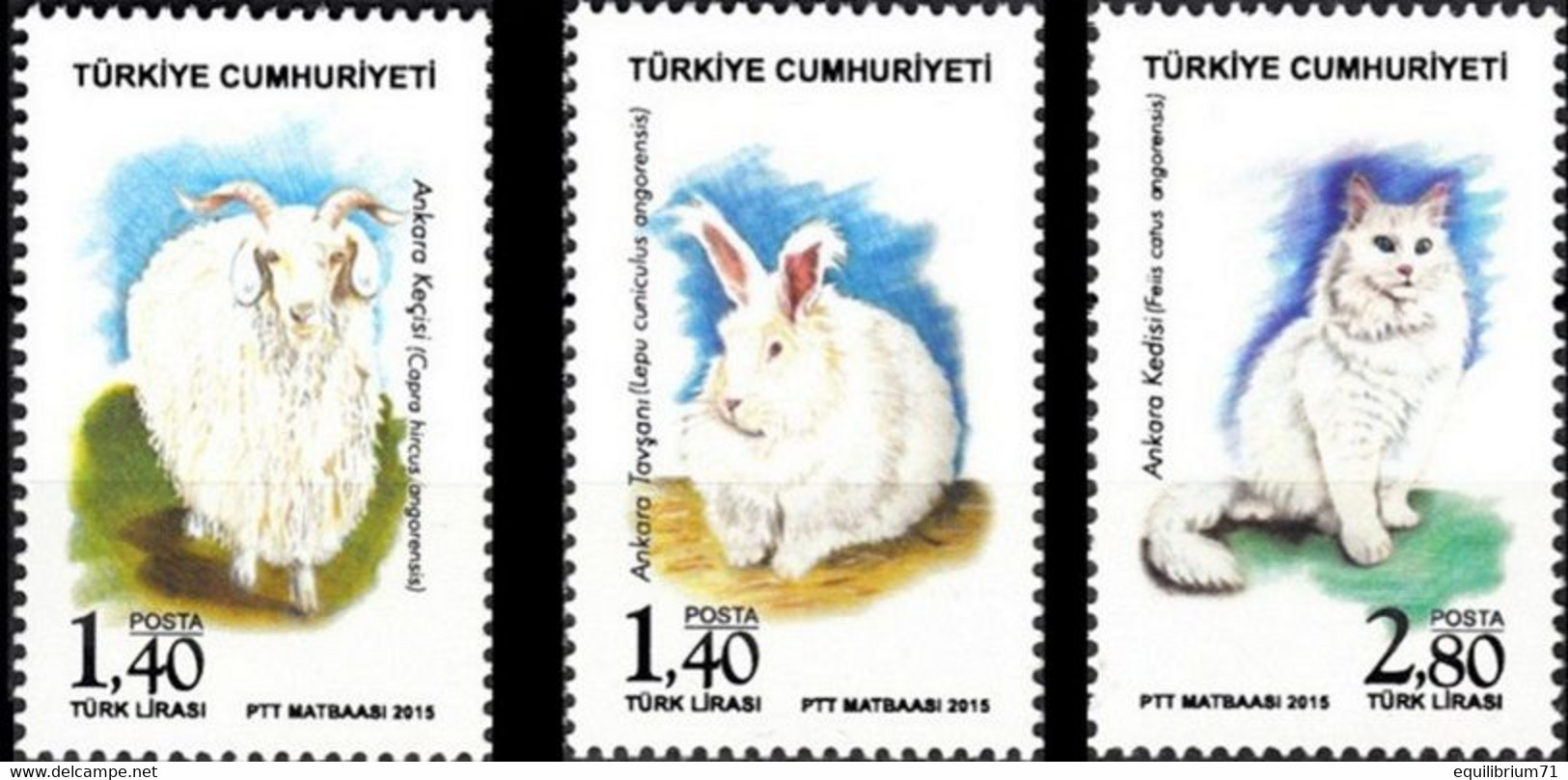 Turquie / Turkije / Türkei / Turkey** - Chèvre - Lapin - Chat / Geit - Konijn - Cat / Ziege - Kaninchen - Katze - Farm