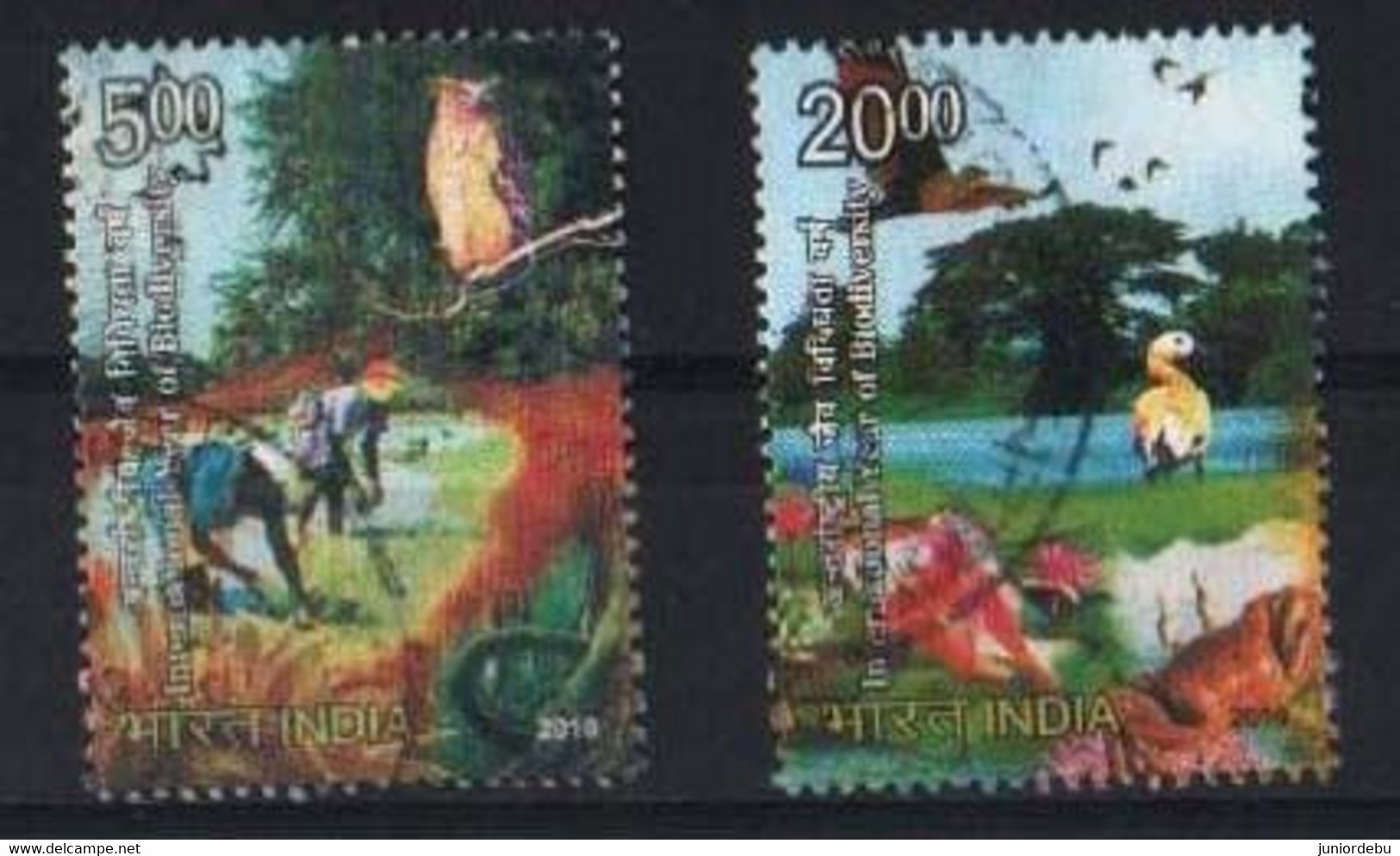 India - 2010 - International Year Of Biodiversity ( Bird ) - SET - Used - Used Stamps