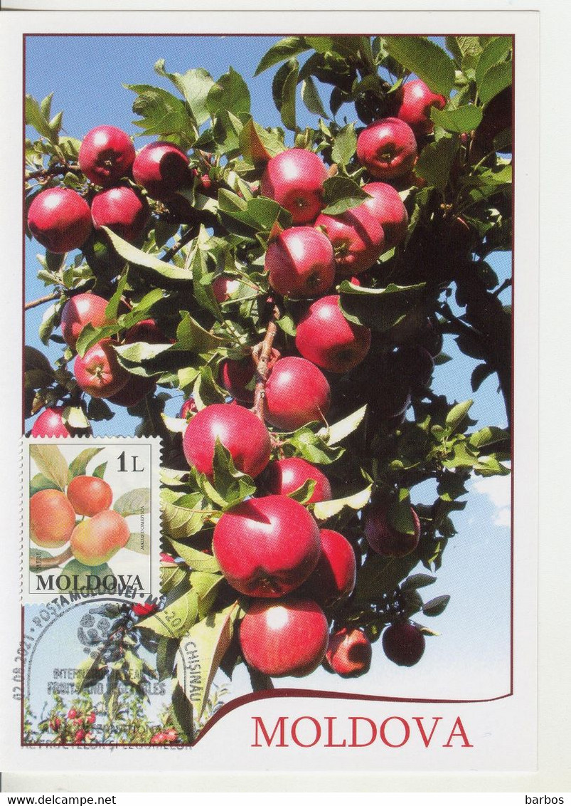 2021 , Moldova ,  UN: 2021 - International Year Of Fruits And Vegetables , Maxicard - Moldavia