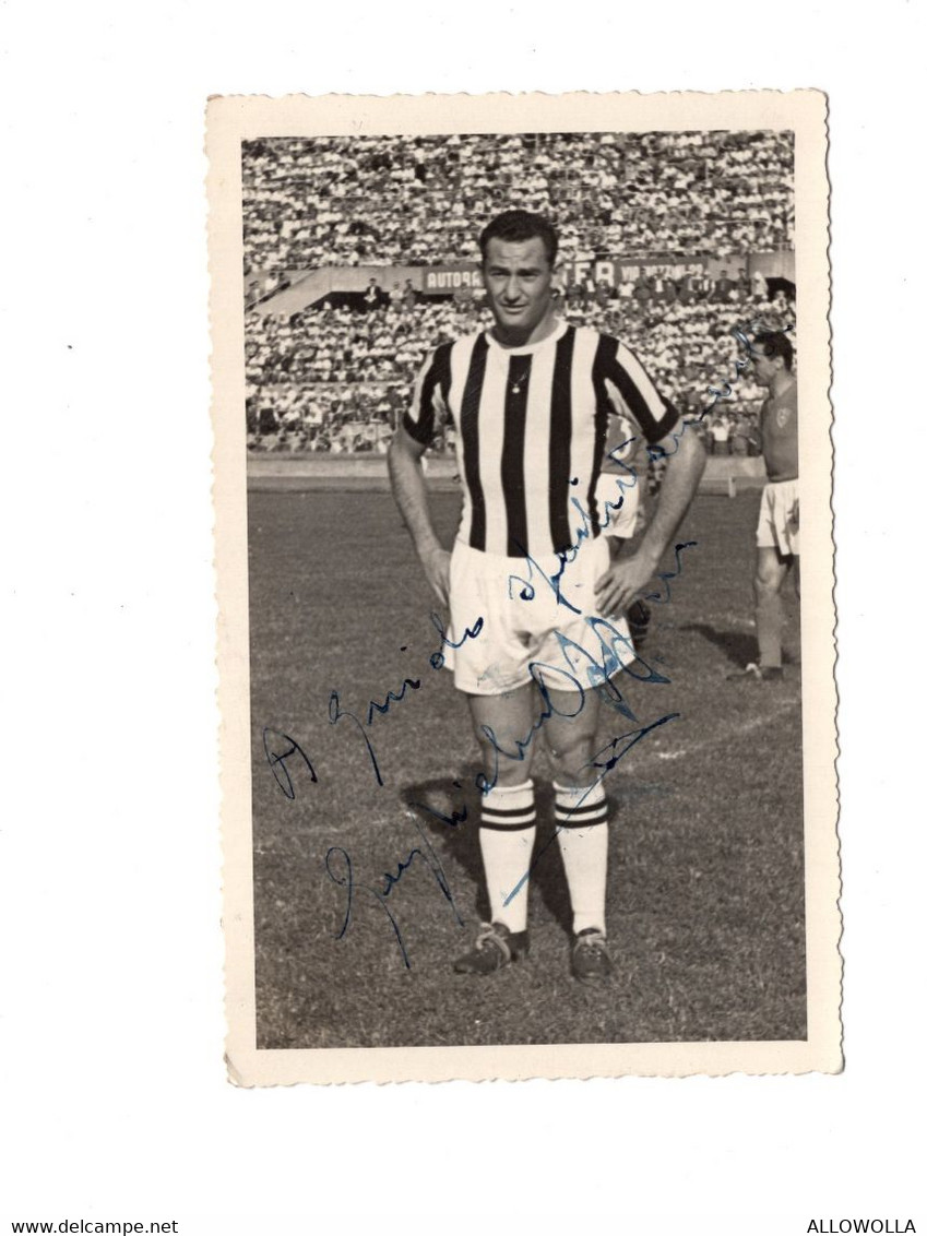 13216 " GUGLIELMO OPPEZZO-JUVENTUS " CON DEDICA AUTOGRAFATA-FOTO GHERLONE GAY-TORINO - Sports