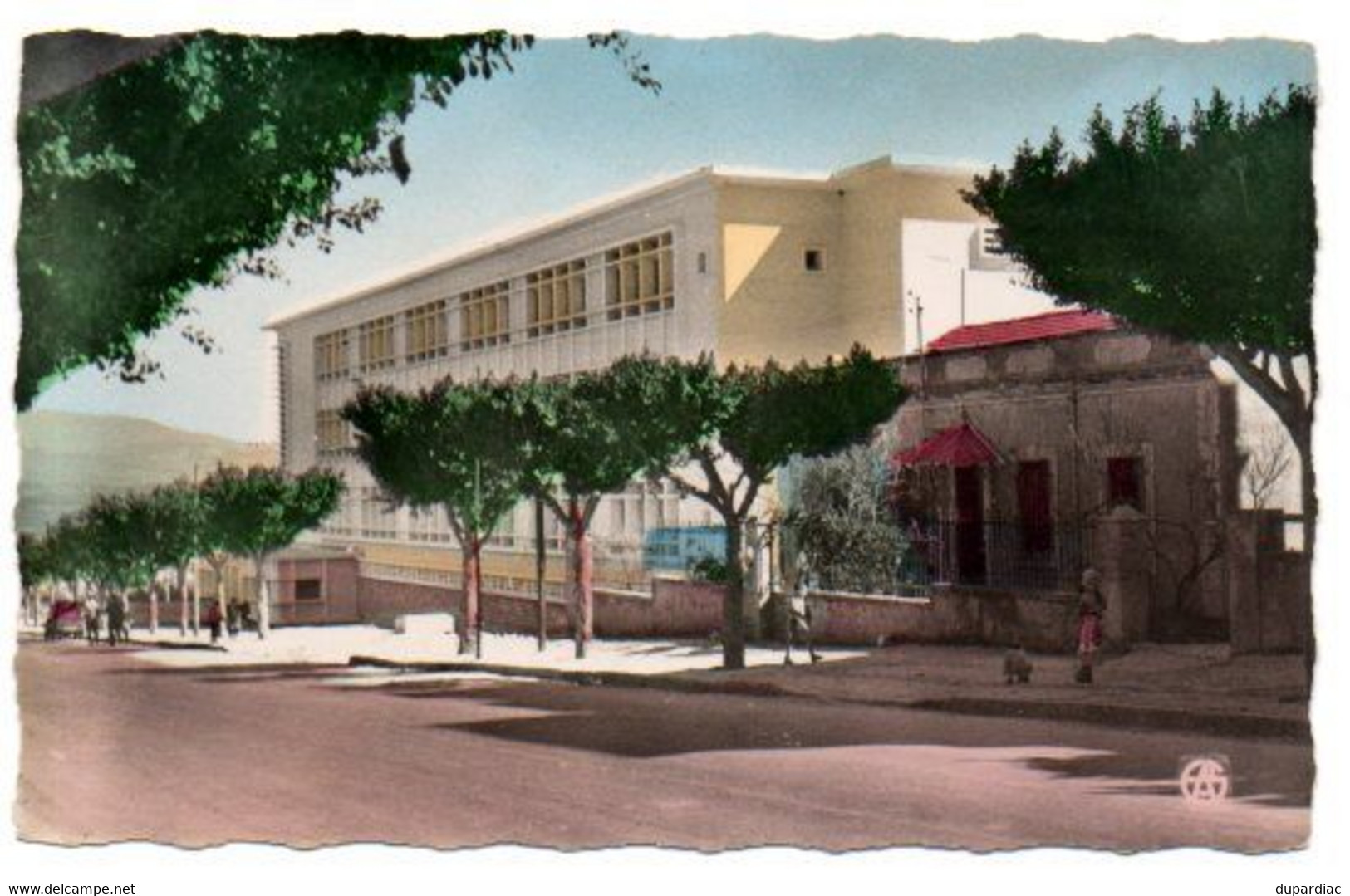 Algérie / GUELMA  -- Ecole Anatole France. - Guelma