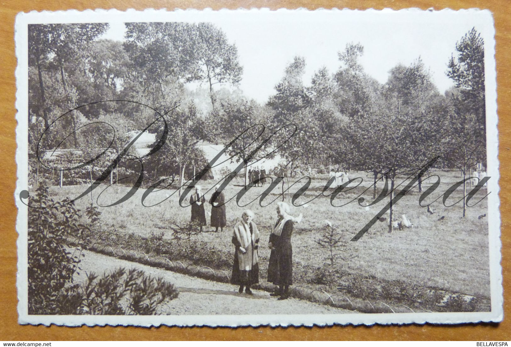 Sint Pieters Leeuw St Antonius Gesticht  De Boomgaard - Sint-Pieters-Leeuw