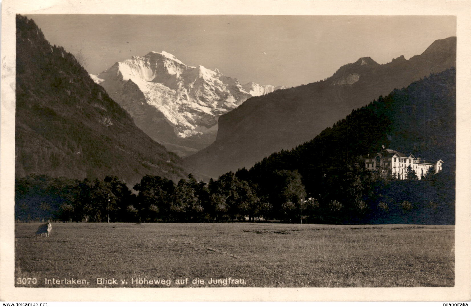 Interlaken - Blick V. Höheweg Auf Die Jungfrau (3070) * 3. 9. 1927 - Interlaken