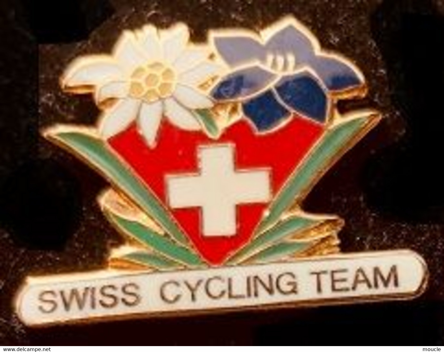 CYCLISME - VELO - BIKE - CYCLISTE - SWISS CYCLING TEAM EDELWEISS - SUISSE - SCHWEIZ - SVIZZERA - SWITZERLAND - EGF -(27) - Ciclismo