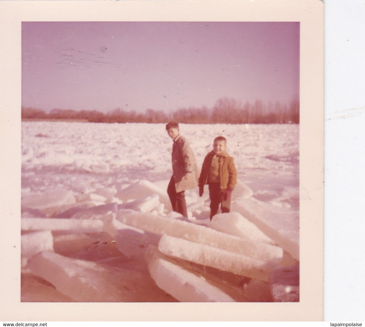 Photo De Particulier Maine Et Loire La Possonniere1963 La Loire Gelée  Au Port   Réf 9221 - Places