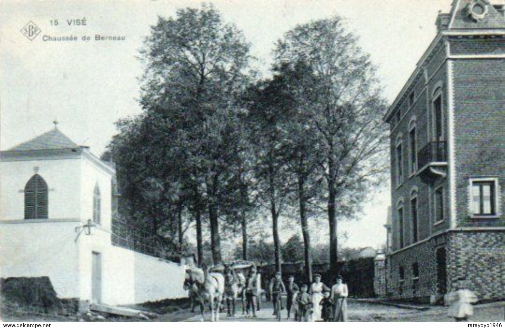 Visé  Chaussée Cde Berneaunanimée Cycliste Chevaux Voyagé En 1907 - Visé