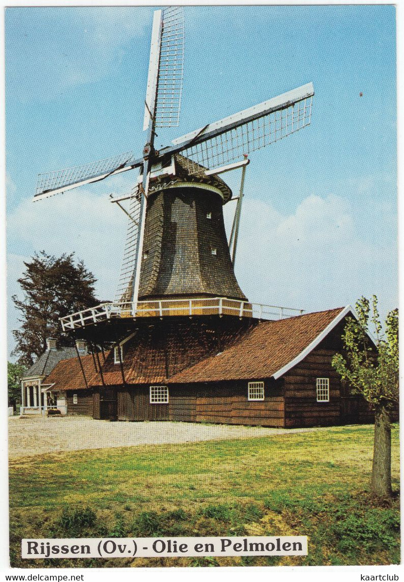 Rijssen (Ov.) - Olie En Pelmolen- (Nederland) - L 6722 - (Moulin à Vent, Mühle, Windmill, Windmolen) - Rijssen