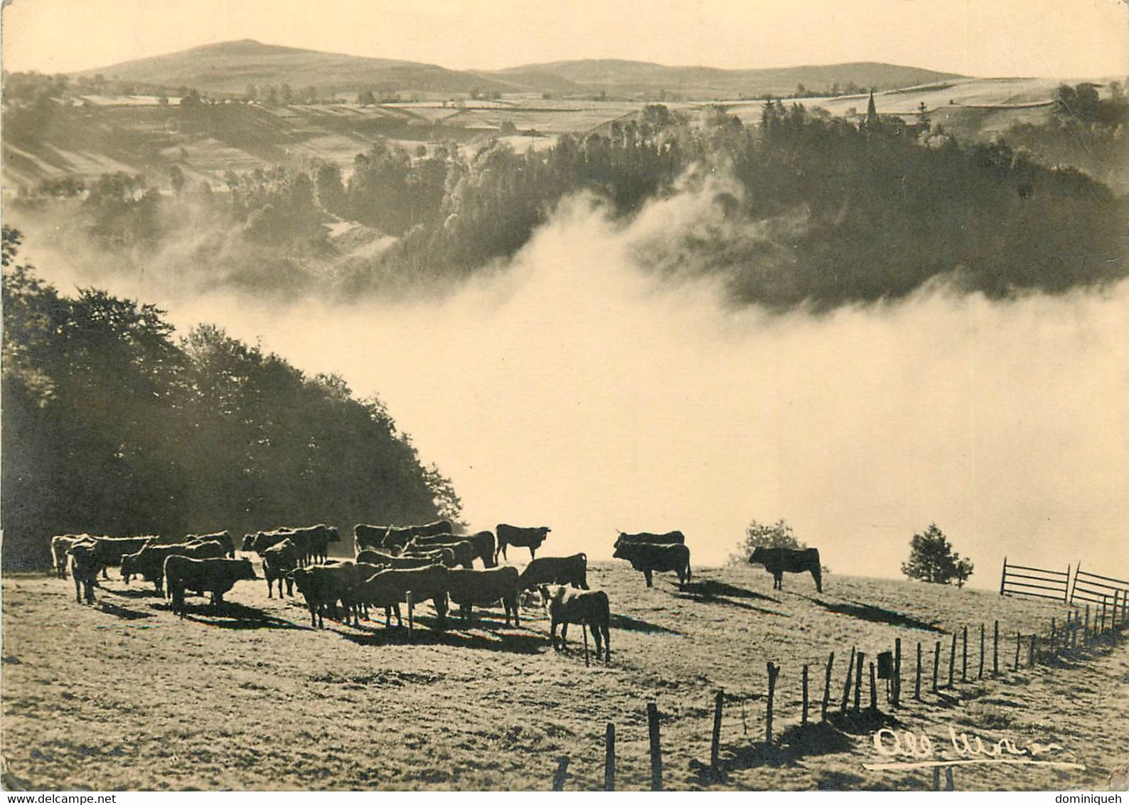 Lot De 23 Cartes Postales Photographies Albert Monier - Monier