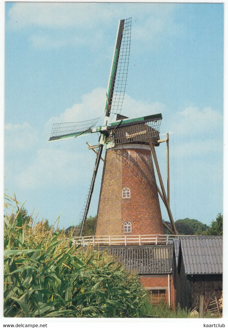 Ootmarsum - Korenmolen - Mais - (Overijssel / Nederland) - 88 -  (Moulin à Vent, Mühle, Windmill, Windmolen) - Ootmarsum