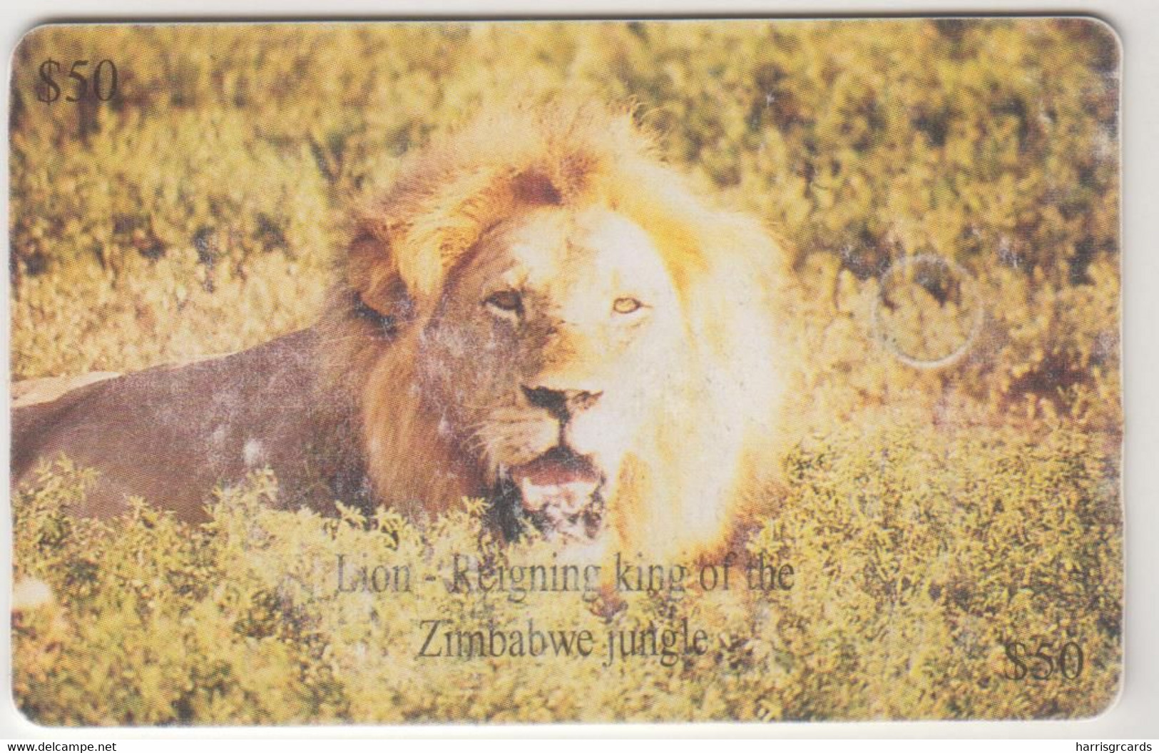 ZIMBABWE - Lion, Chip:GEM5 (Black), 50 Z$,Tirage 100,000, Used - Zimbabwe