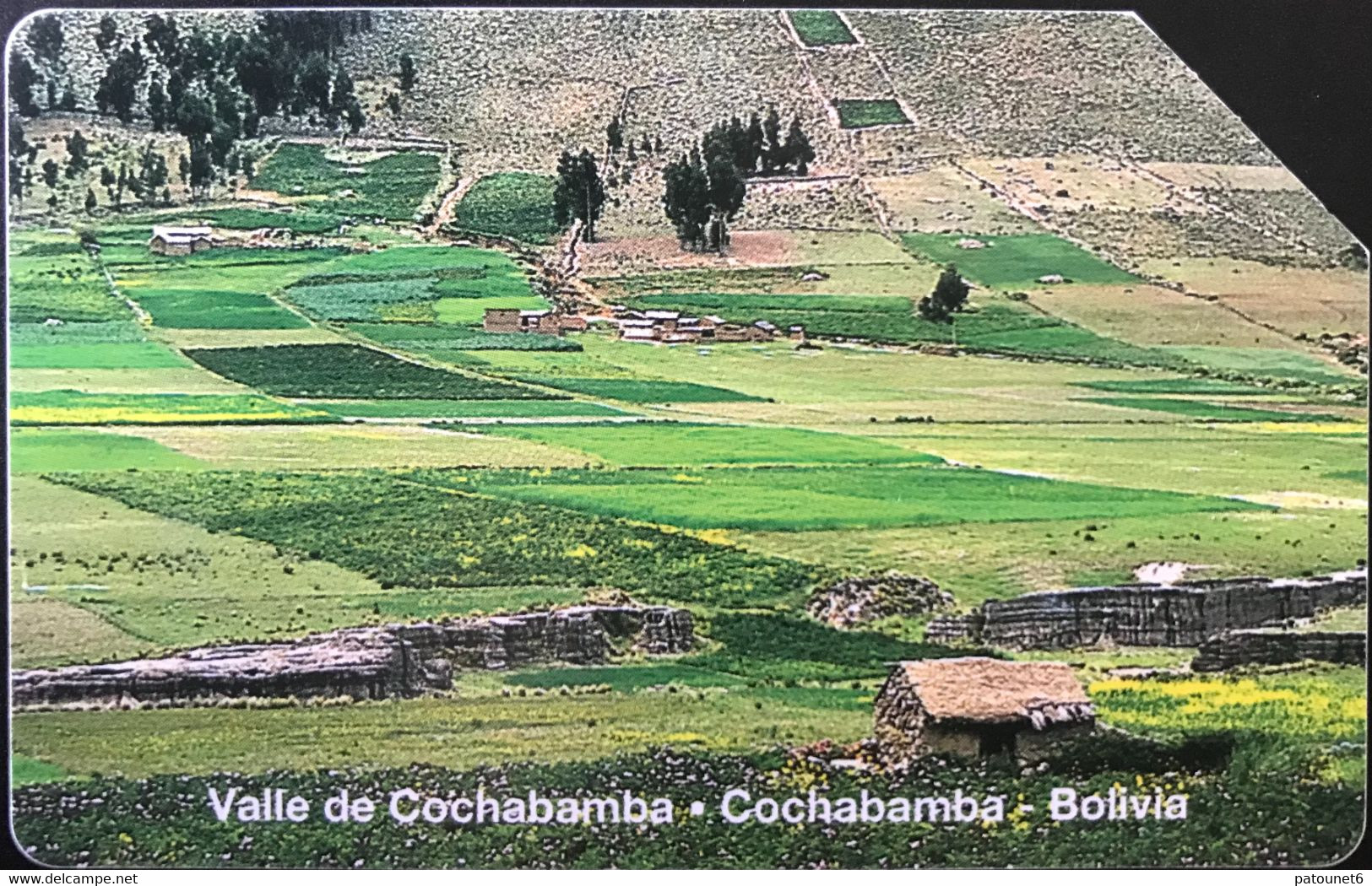 BOLIVIE  - Phonecard - Entel  -  Valle De Cochabamba - Bs. 5 - Bolivien