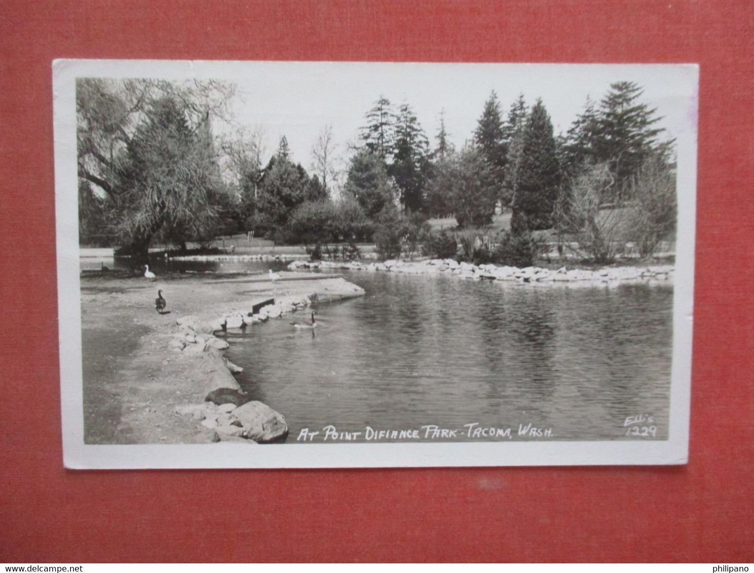 RPPC   Point Difiance Park  Tacoma  Washington  >    Ref 5074 - Tacoma