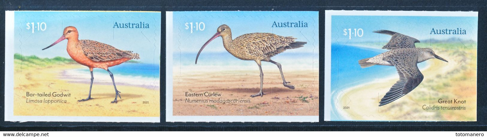 AUSTRALIA 2021 - Migratory Shorebirds Set Of 3 Self-Adhesive Stamps** - Unused Stamps