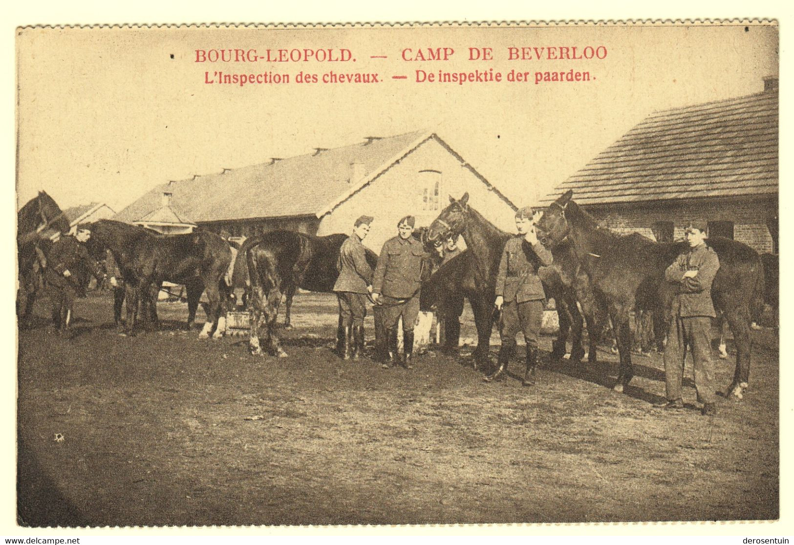 A0793	[Postkaart] Bourg-Léopold. - Camp De Beverloo / L’Inspection Des Chevaux. - De Inspektie Der Paarden. (Notre Pays) - Kazerne