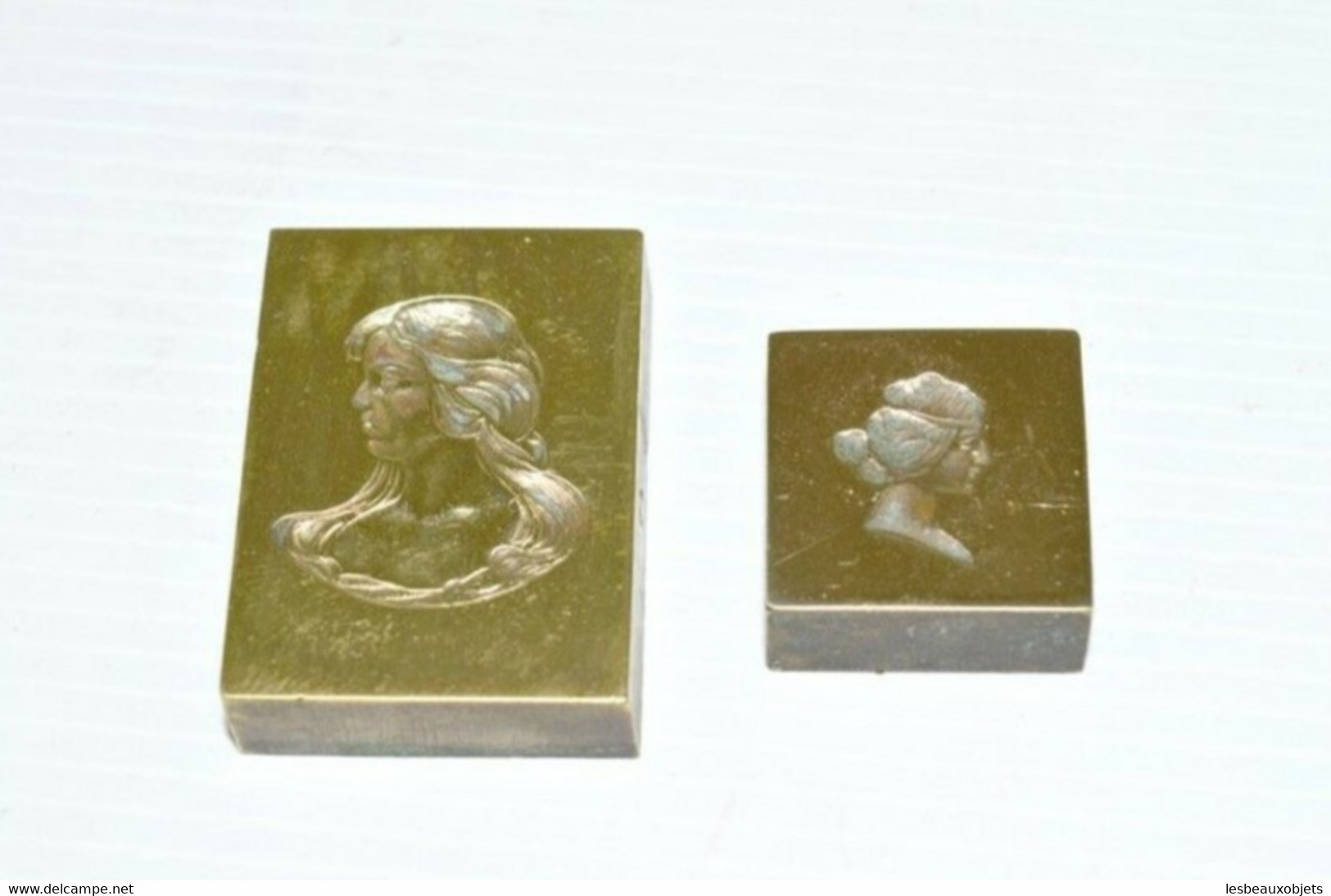 2 Belles Plaques En LAITON Ou BRONZE XIXe Matrices  Plaques Imprimerie Pour Collection Déco Bureau Vitrine Presse Papier - Seals