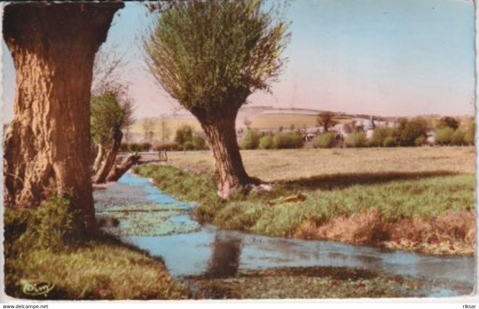 LONDINIERES(ARBRE) - Londinières