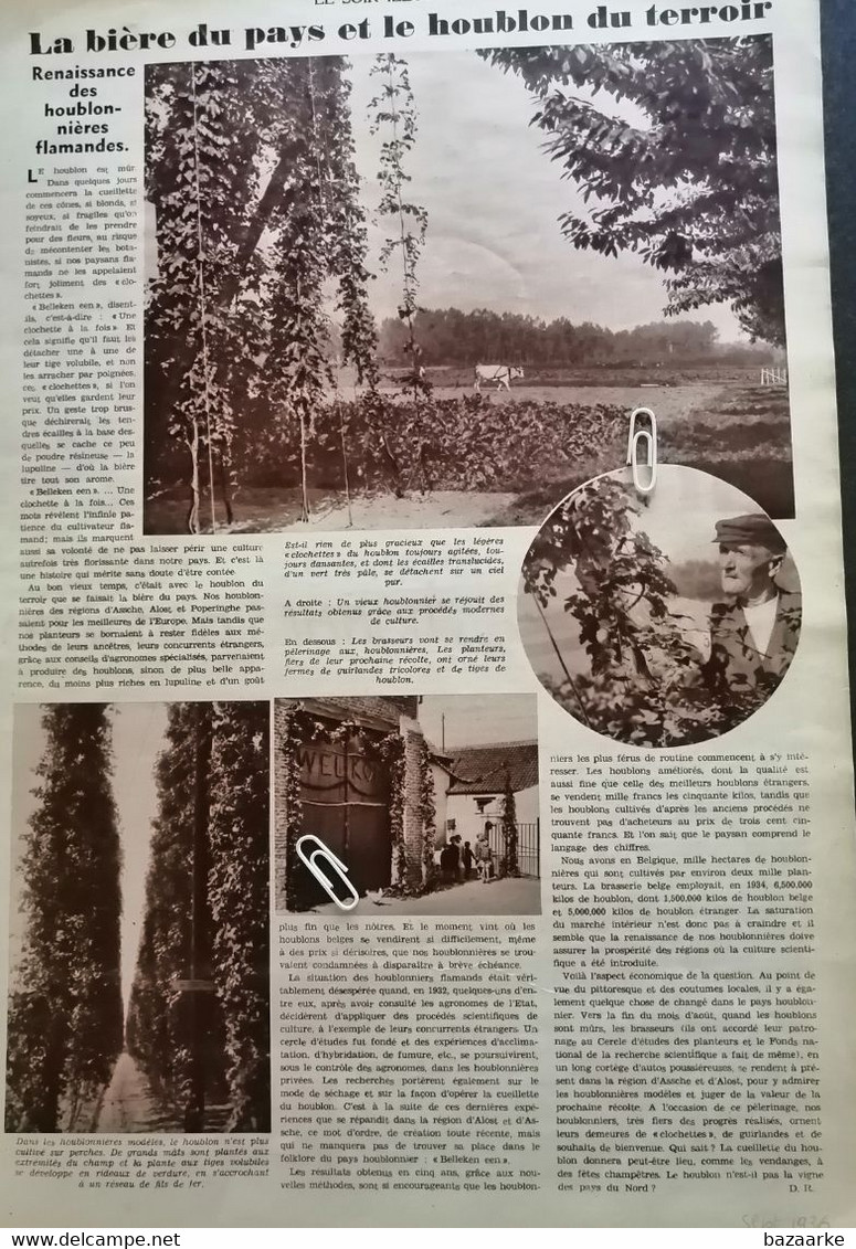 LA BIÈRE DU PAYS ET LE HOUBLON DU TERROIR ..1936.. RÉGIONS ASSE / ALOST ET POPERINGHE - Unclassified