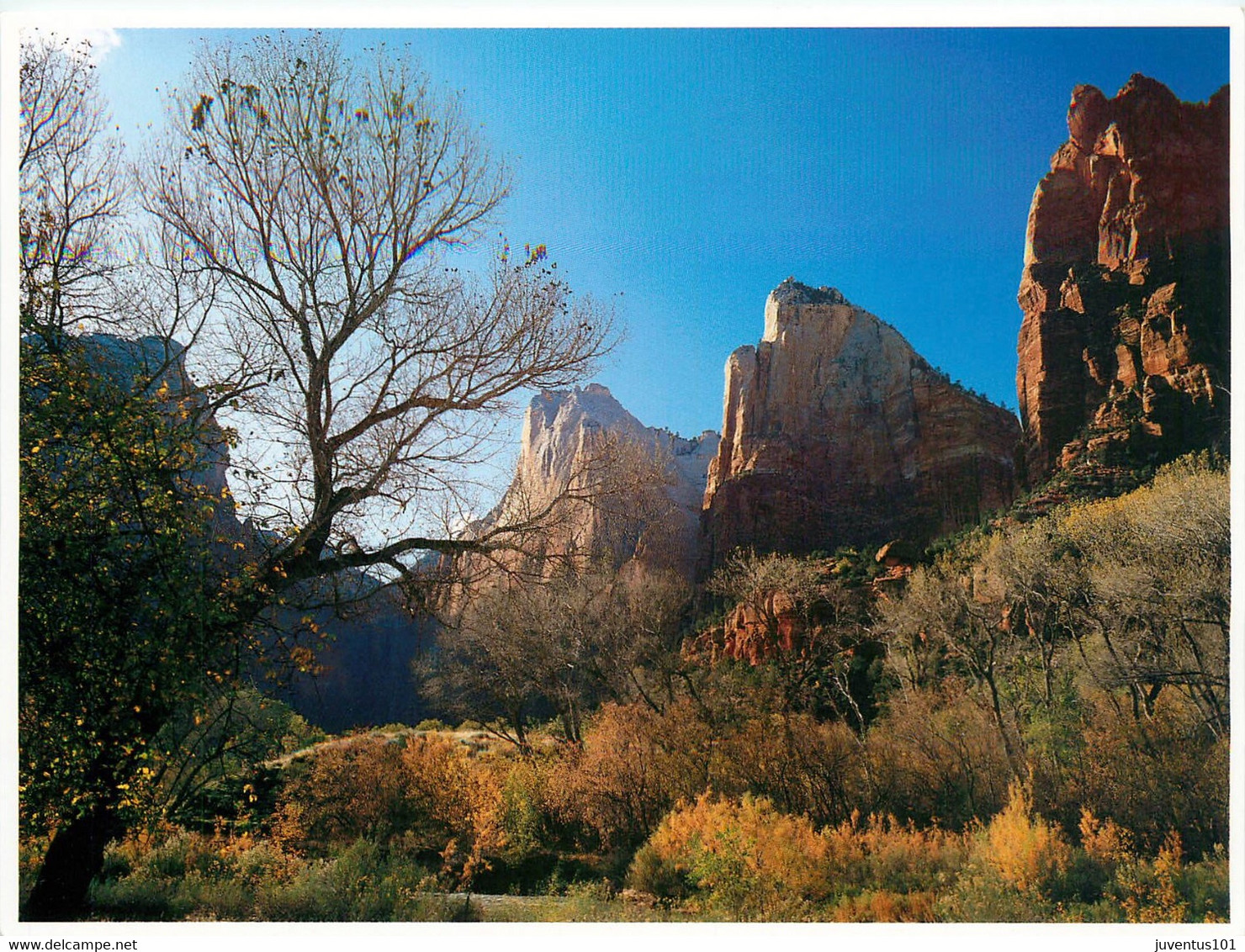 CPSM Zion National Park    L820 - Zion