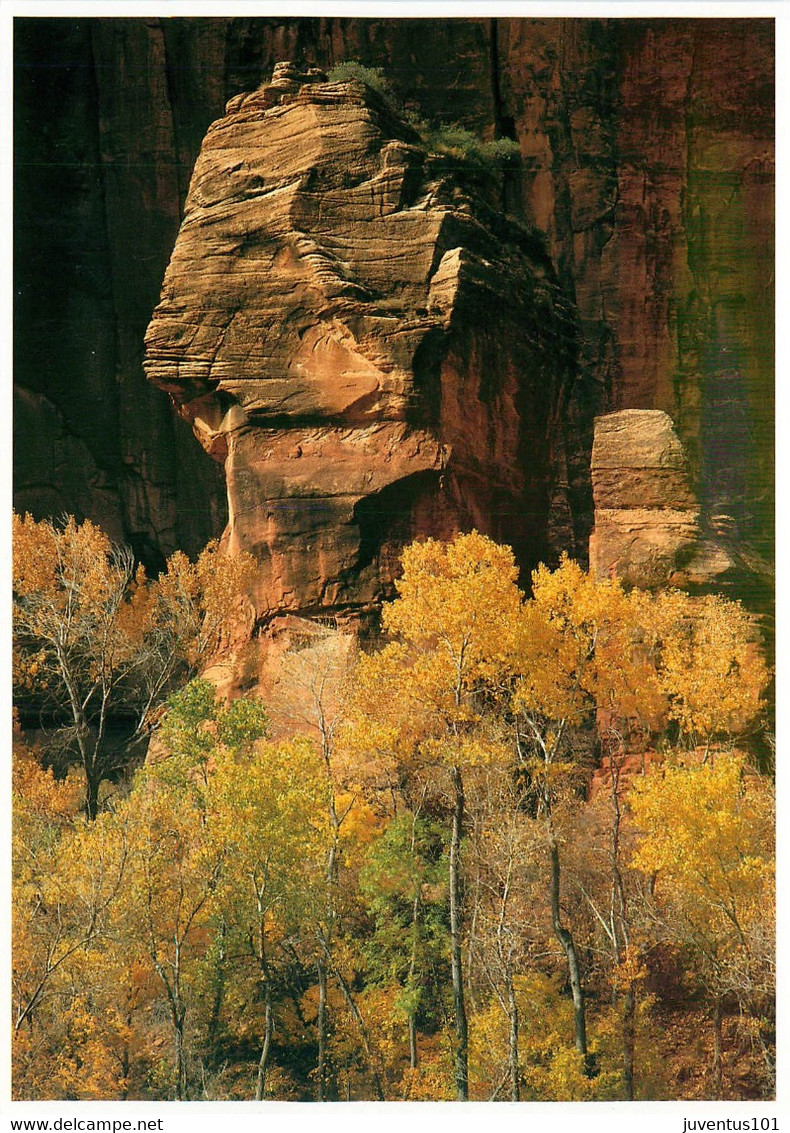 CPSM Zion National Park    L820 - Zion