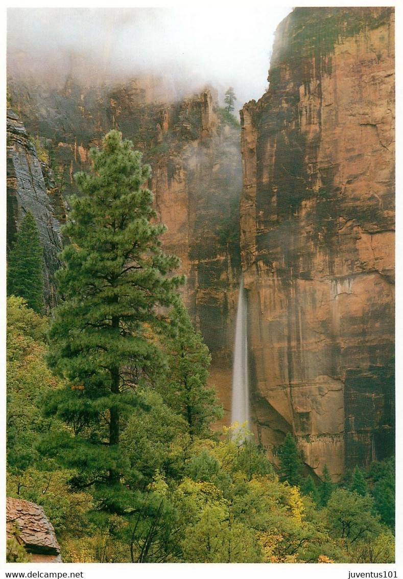 CPSM Zion National Park    L820 - Zion