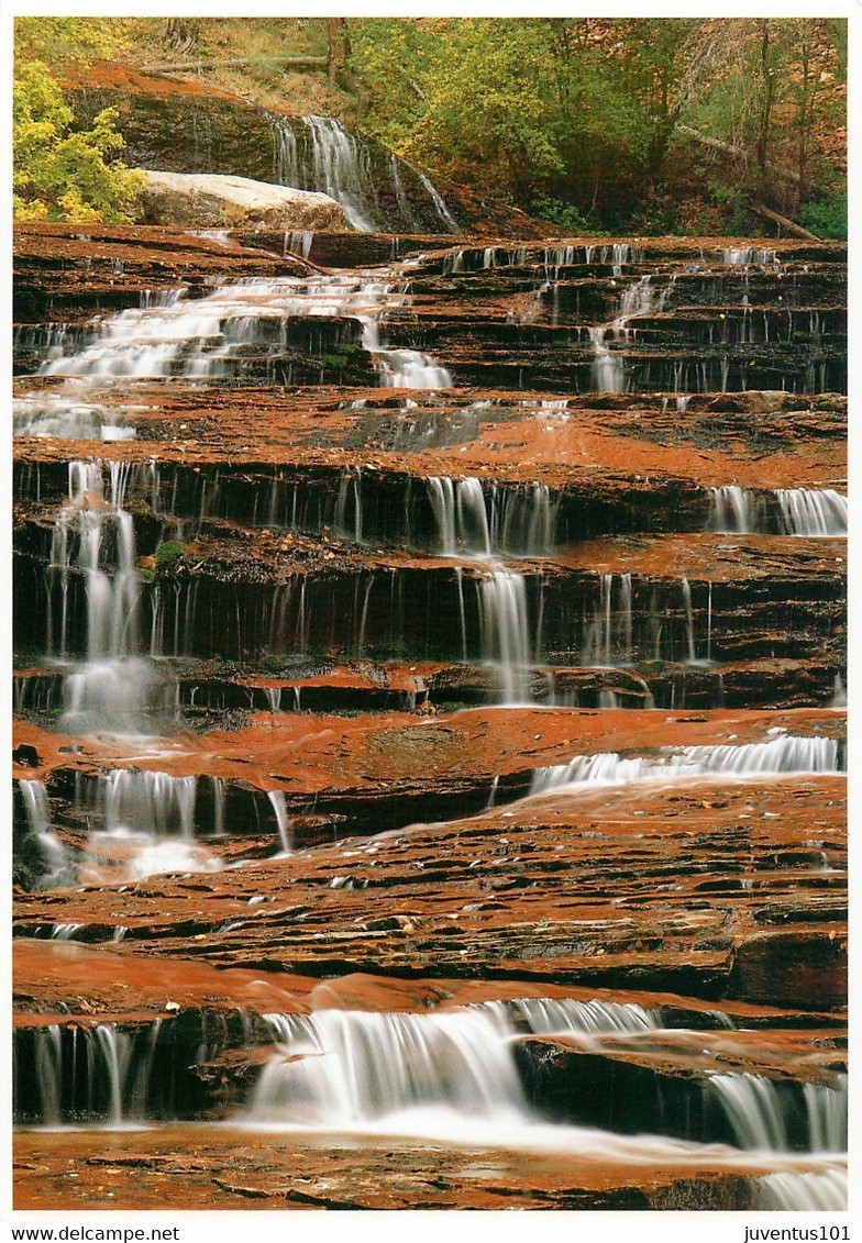 CPSM Zion National Park    L820 - Zion