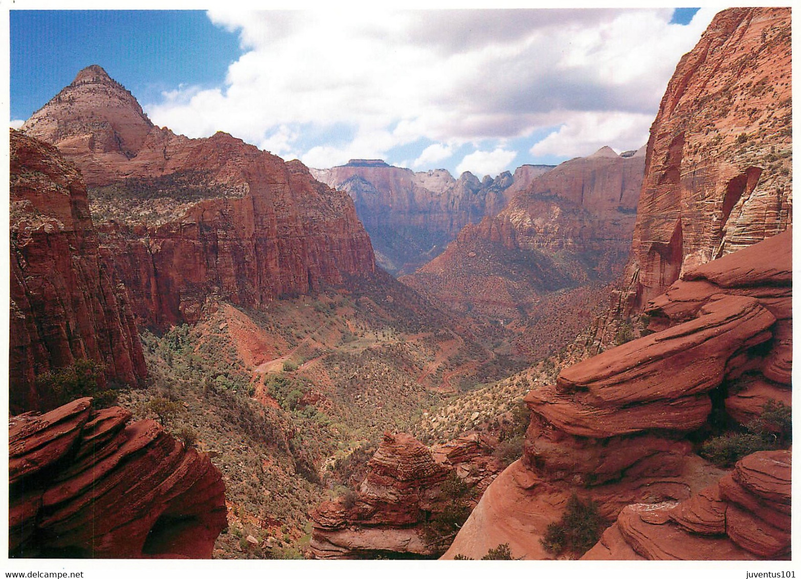 CPSM Zion National Park    L820 - Zion