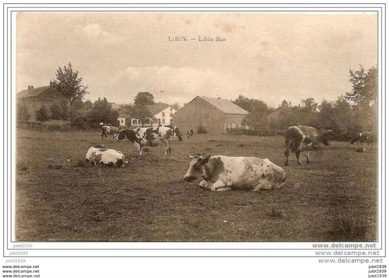 LIBIN  ..--  Paysage .  Ah Les Vaches !! - Libin