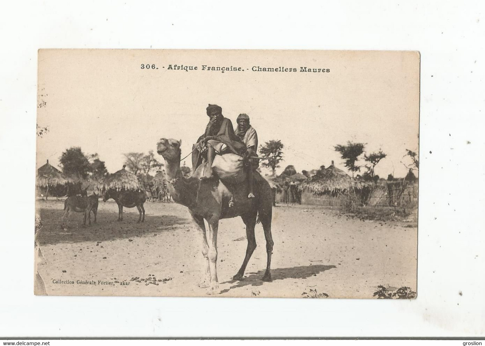 CHAMELIERS MAURES 306 AFRIQUE FRANCAISE - Mauritanie