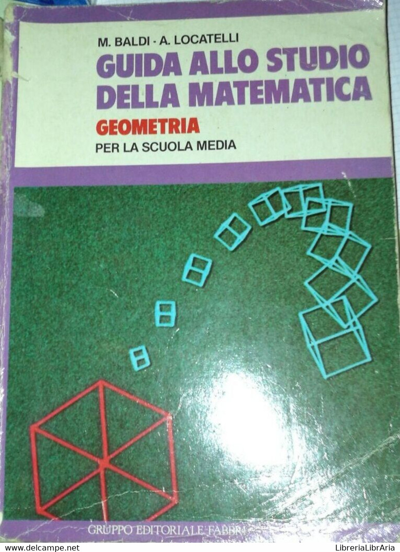 Guida Allo Studio Della Matematica - Baldi - Locatelli - 1986 - Fabbri - Lo - Teenagers