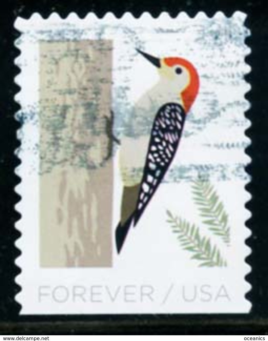 Etats-Unis / United States (Scott No.5319 - Winter Birds) (o) P3 - Sonstige & Ohne Zuordnung