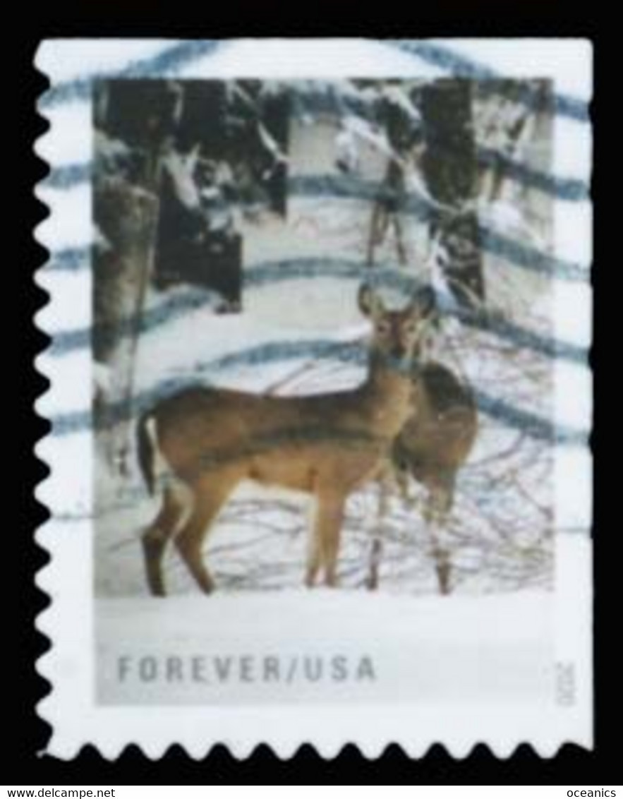 Etats-Unis / United States (Scott No.5532 - Winter Scenes) (o) P2 Right - Used Stamps