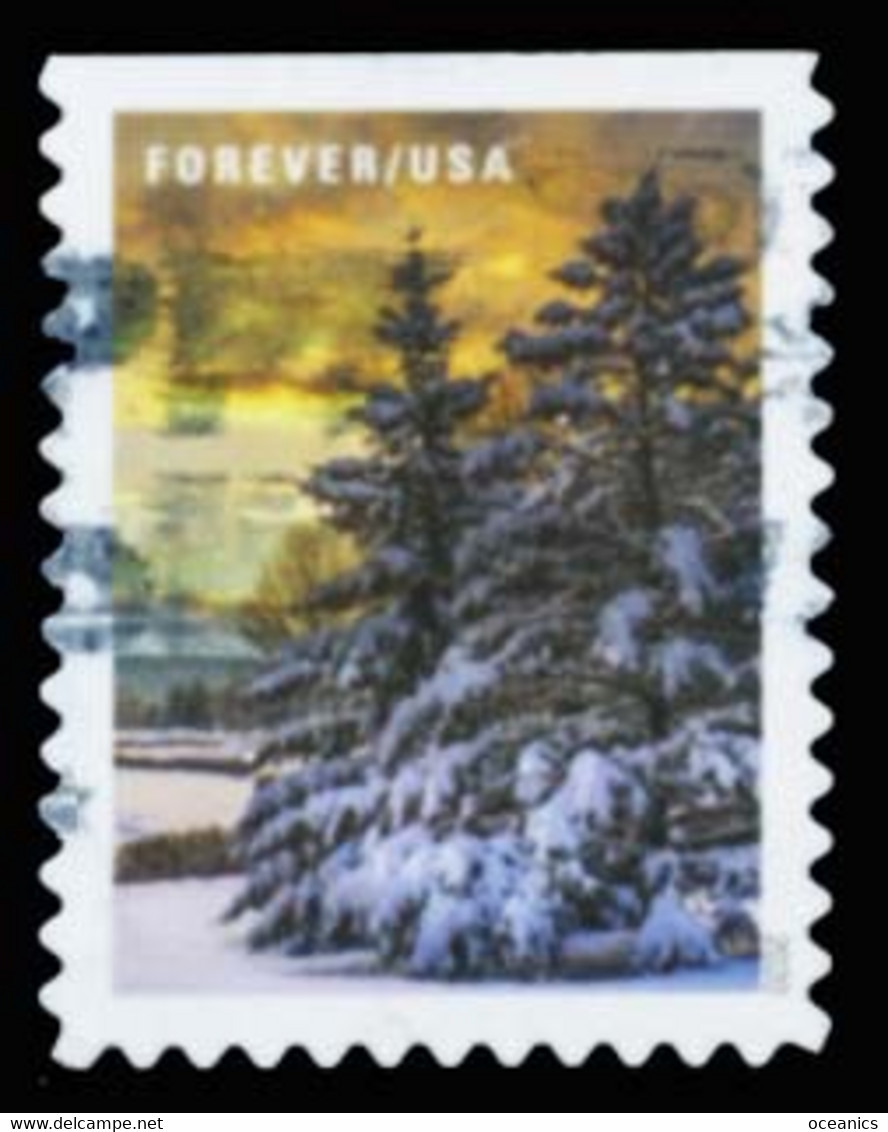 Etats-Unis / United States (Scott No.5534 - Winter Scenes) (o) P3 - Oblitérés