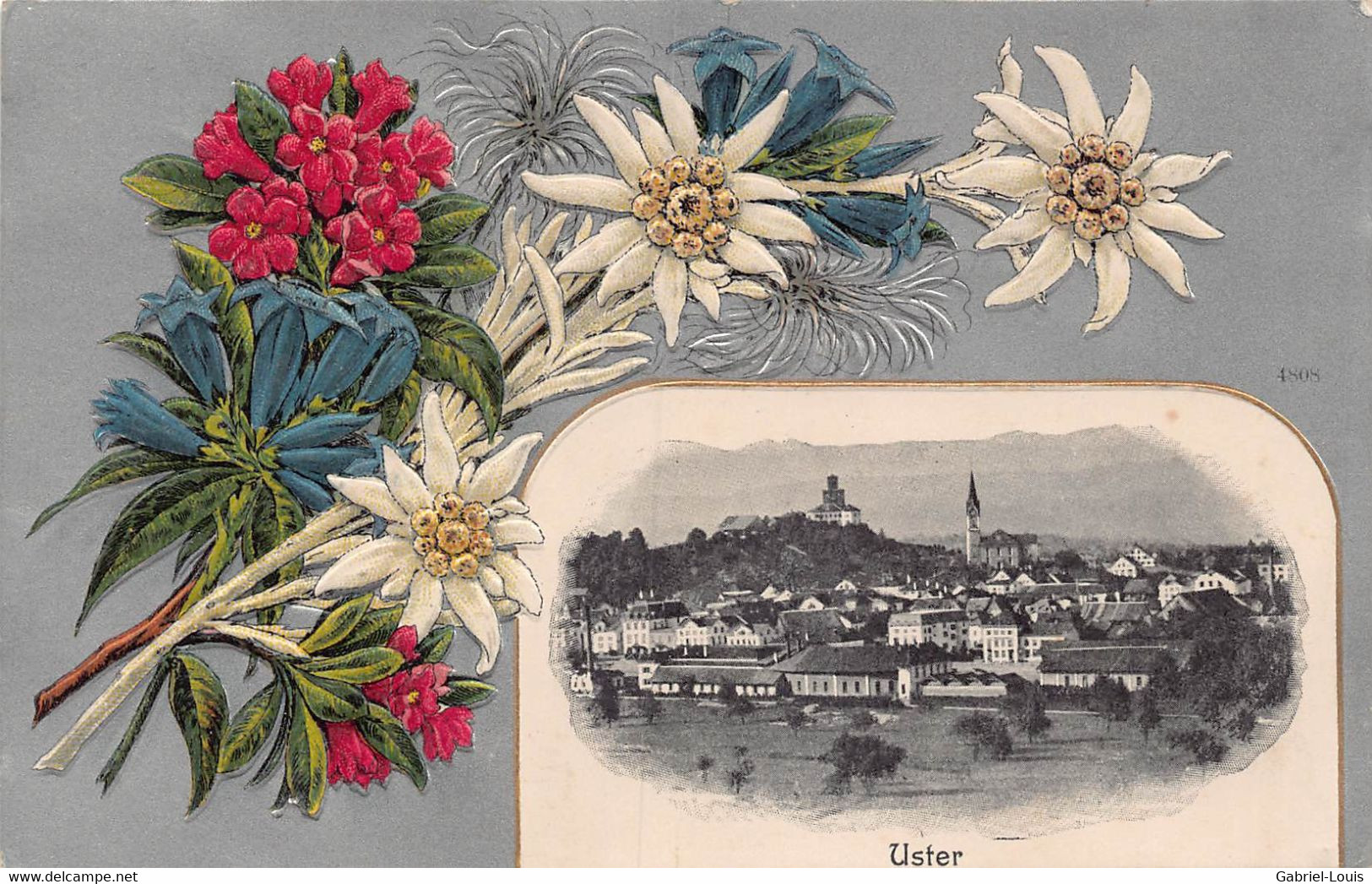 Uster Gaufrée - Edelweiss - Rhododendron - Uster