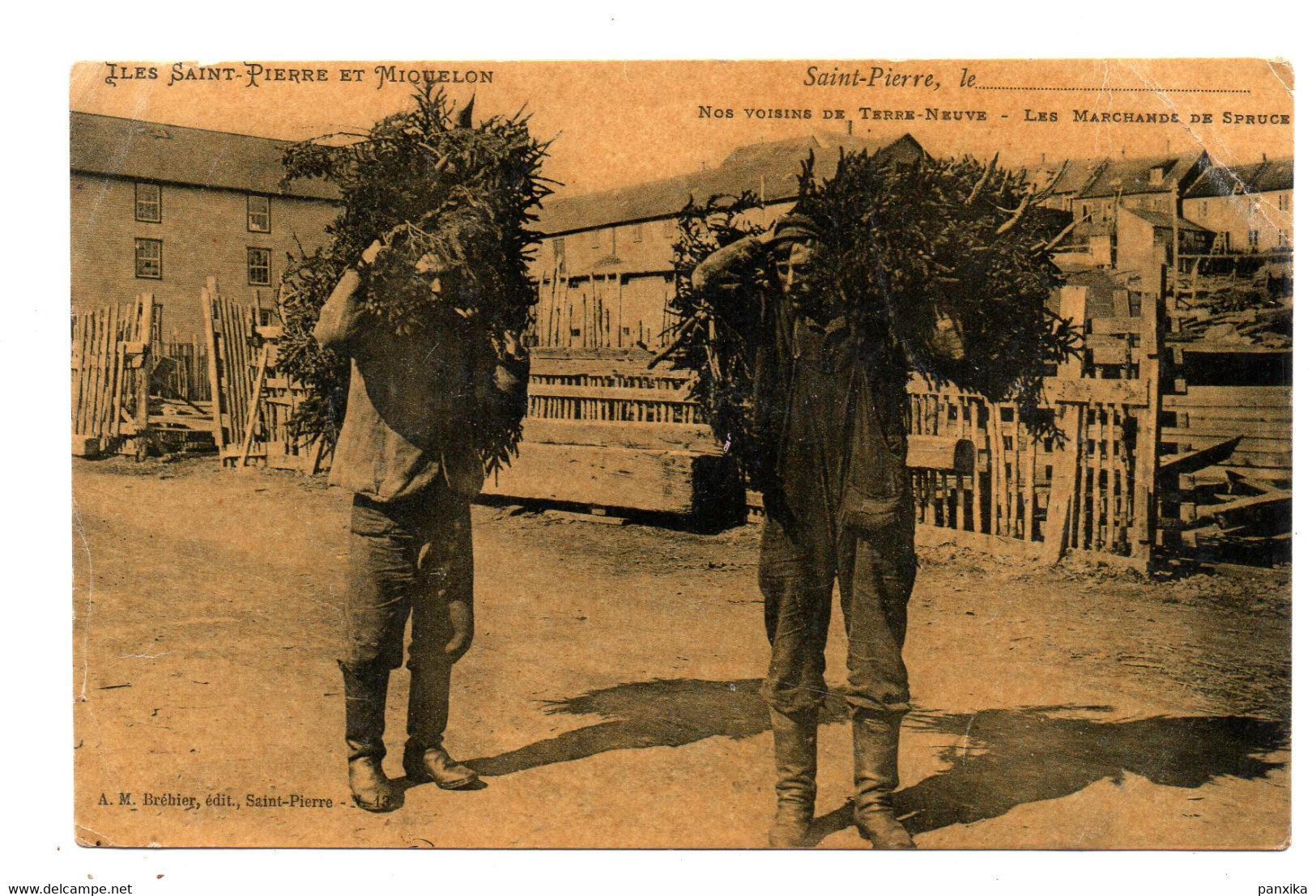 Saint Pierre Et Miquelon. Nos Voisins De Terre-neuve. Les Marchands De Spruce. - San Pedro Y Miquelón