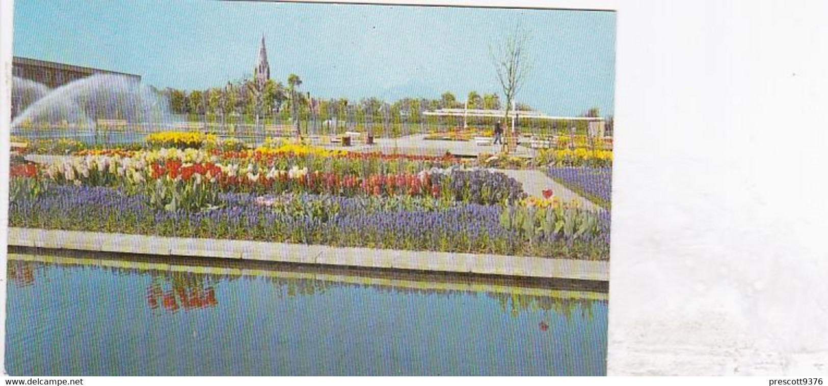 Springfields, Spalding -  Unused Postcard - Lincolnshire - M&B National Series - Lincoln