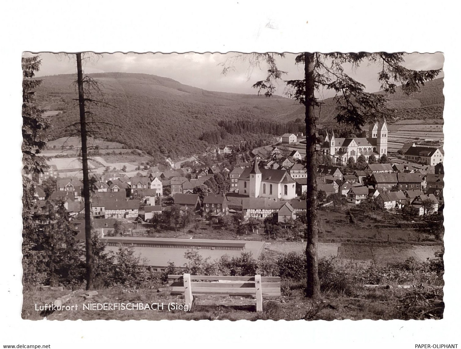 5242 KIRCHEN - NIEDERFISCHBACH, Ortsansicht 1963 - Kirchen