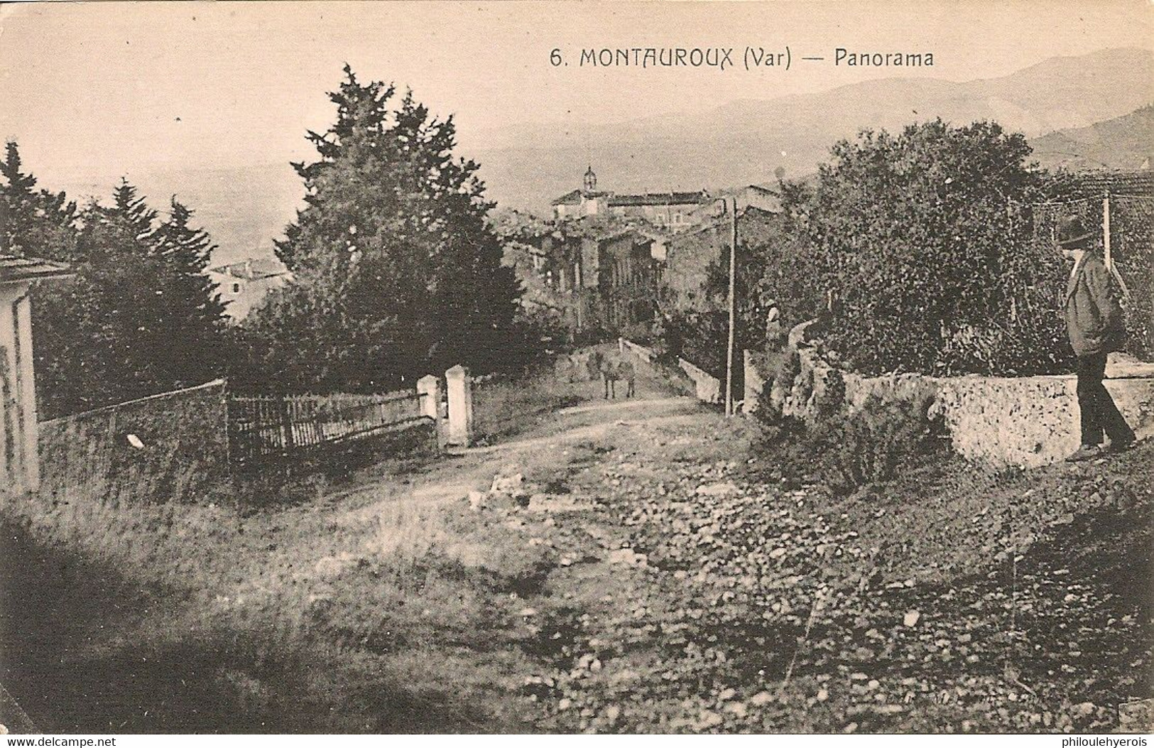 CPA 83 MONTAUROUX Panorama - Montauroux