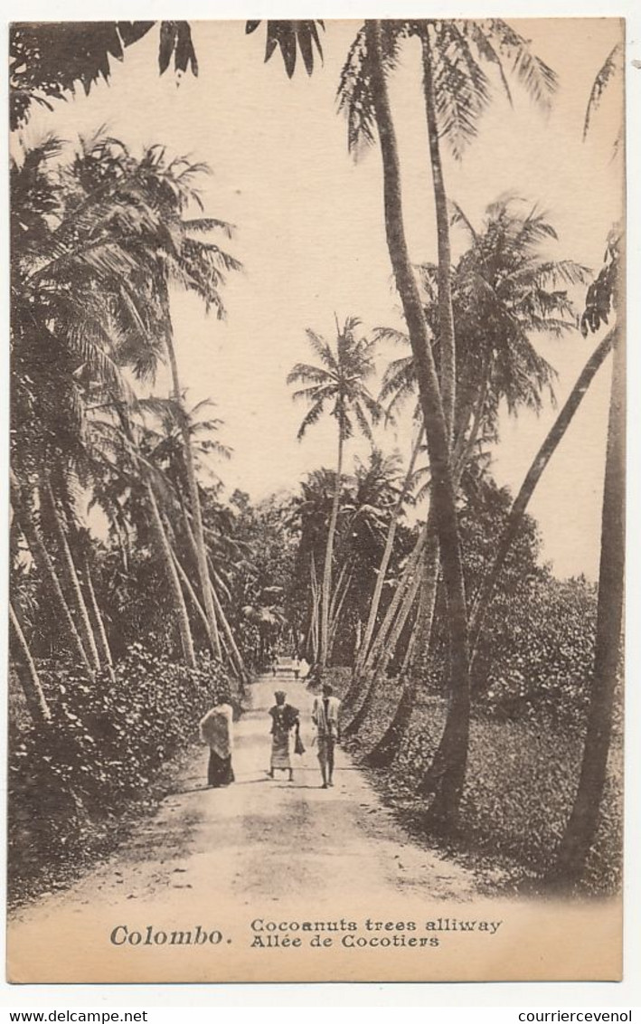 CPA - CEYLAN - COLOMBO - Allée De Cocotiers - Sri Lanka (Ceylon)