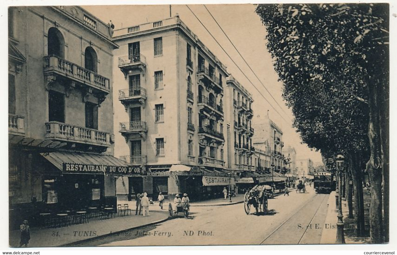 CPA - TUNISIE - TUNIS - Avenue Jules Ferry - Tunesien