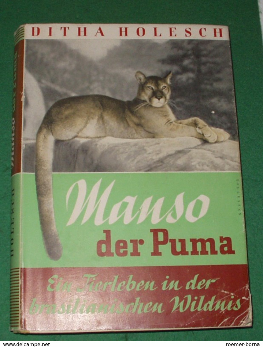 Manso Der Puma - Ein Tierleben In Der Brasilianischen Wildnis - Animales