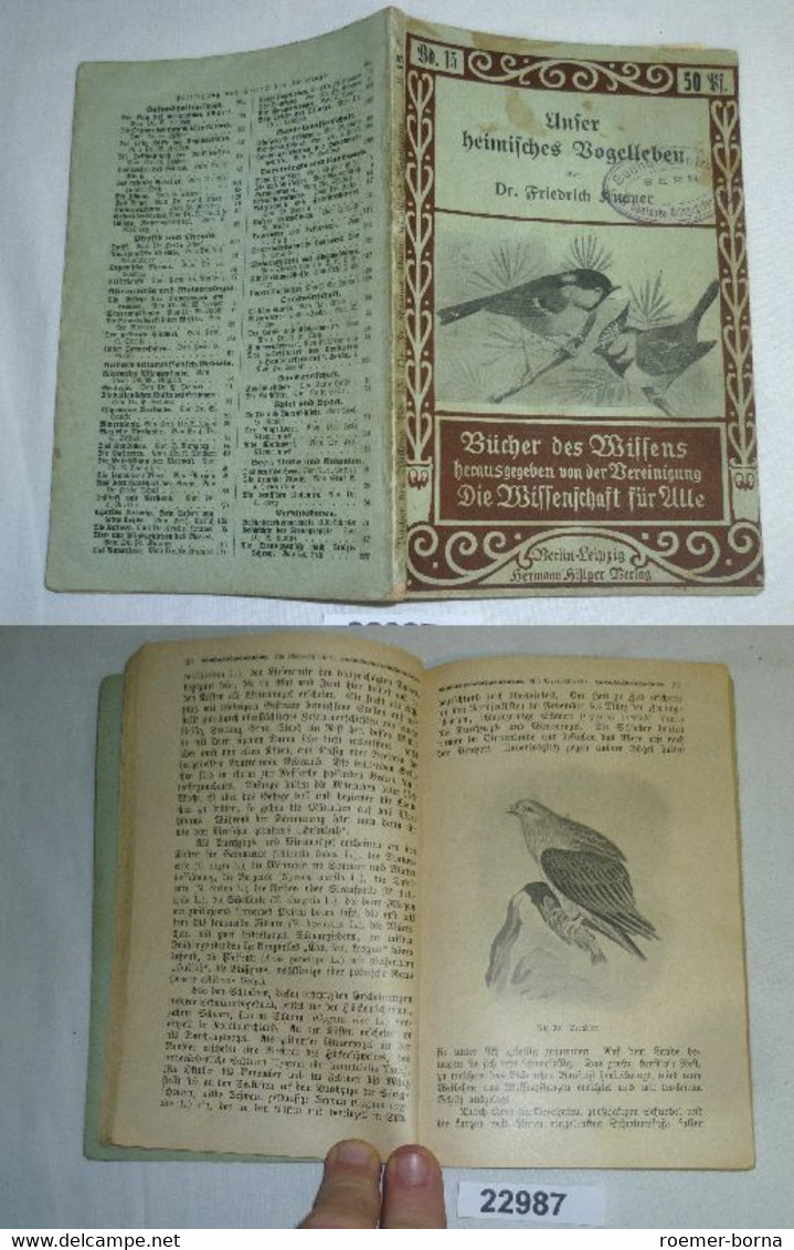 Unser Heimisches Vogelleben (Hillgers Illustrierte Volksbücher Band 15) - Animaux