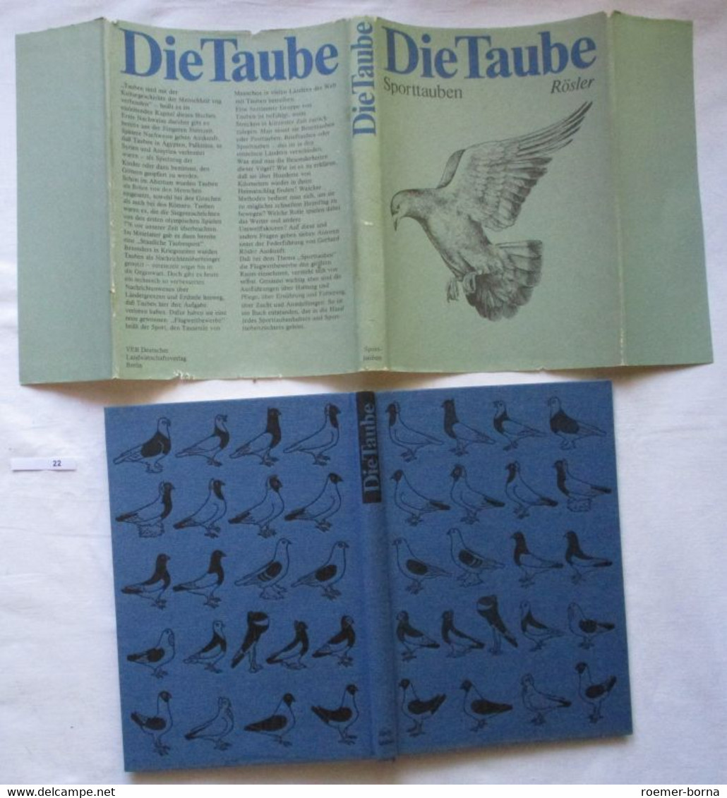 Die Taube - Sporttauben, Ein Fachbuch Für Züchter Und Halter Von Sporttauben - Animals
