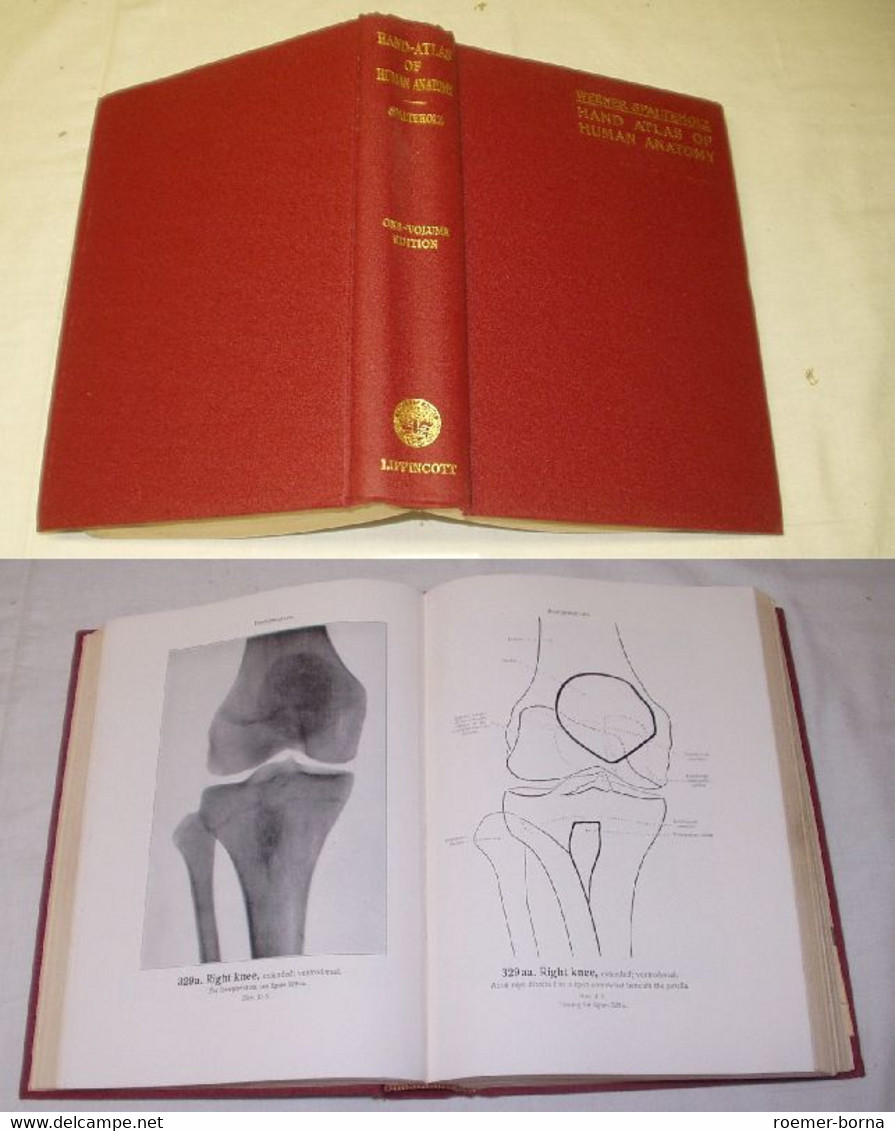 Hand-atlas Of Human-anatomy (Hand-Atlas Der Menschlichen Anatomie) Vol. (Band) 1 - Medizin & Gesundheit