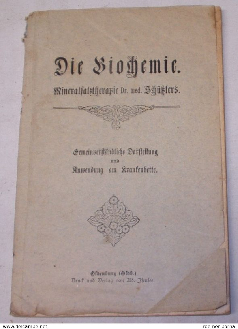 Die Biochemie - Mineralsalztherapie Dr. Med. Schüßlers - Gemeinverständliche Darstellung Und Anwendung Am Krankenbette - Santé & Médecine